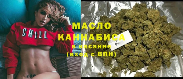 молекула духа Няндома