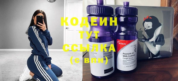 молекула духа Няндома