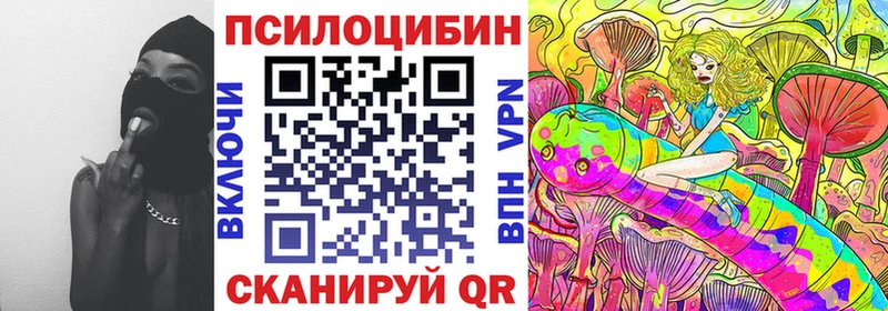 OMG ссылка  Покровск  Галлюциногенные грибы мицелий 